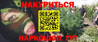 спиды Сланцы