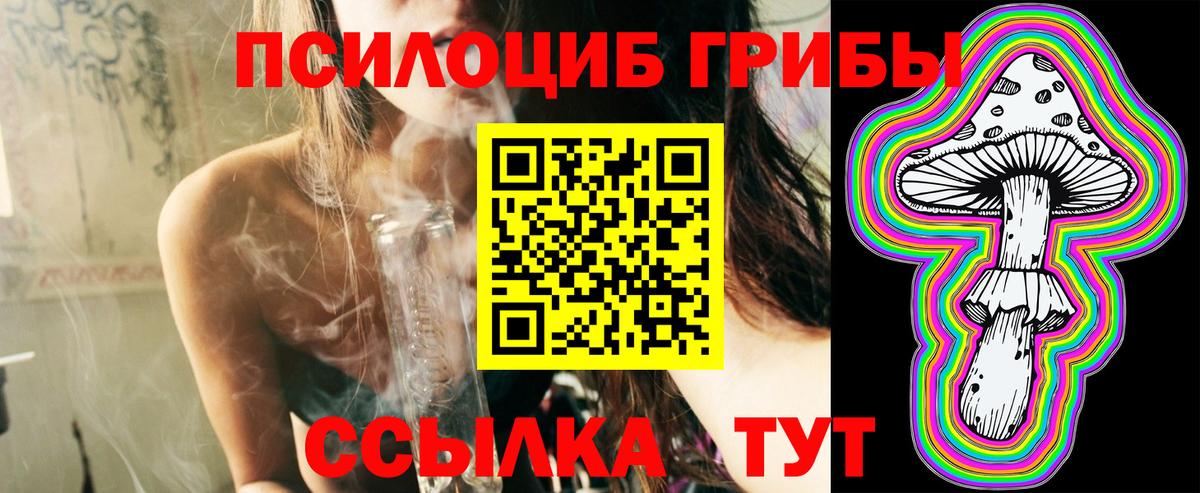 Псилоцибиновые грибы прущие грибы Борзя