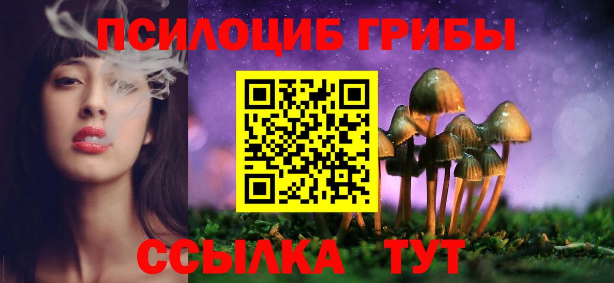 Борзя  Псилоцибиновые грибы прущие грибы  Вход с VPN  Псилоцибиновые грибы GOLDEN TEACHER 